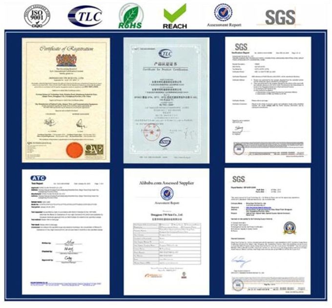 DONGGUAN TW-SCIE CO., LTD. Profil firmy